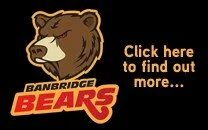 bears